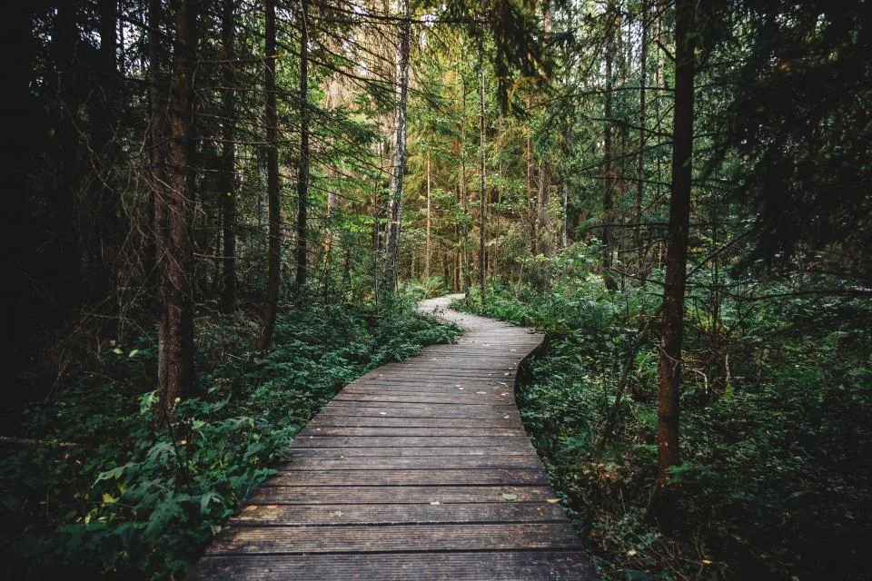 Wandelcoaching